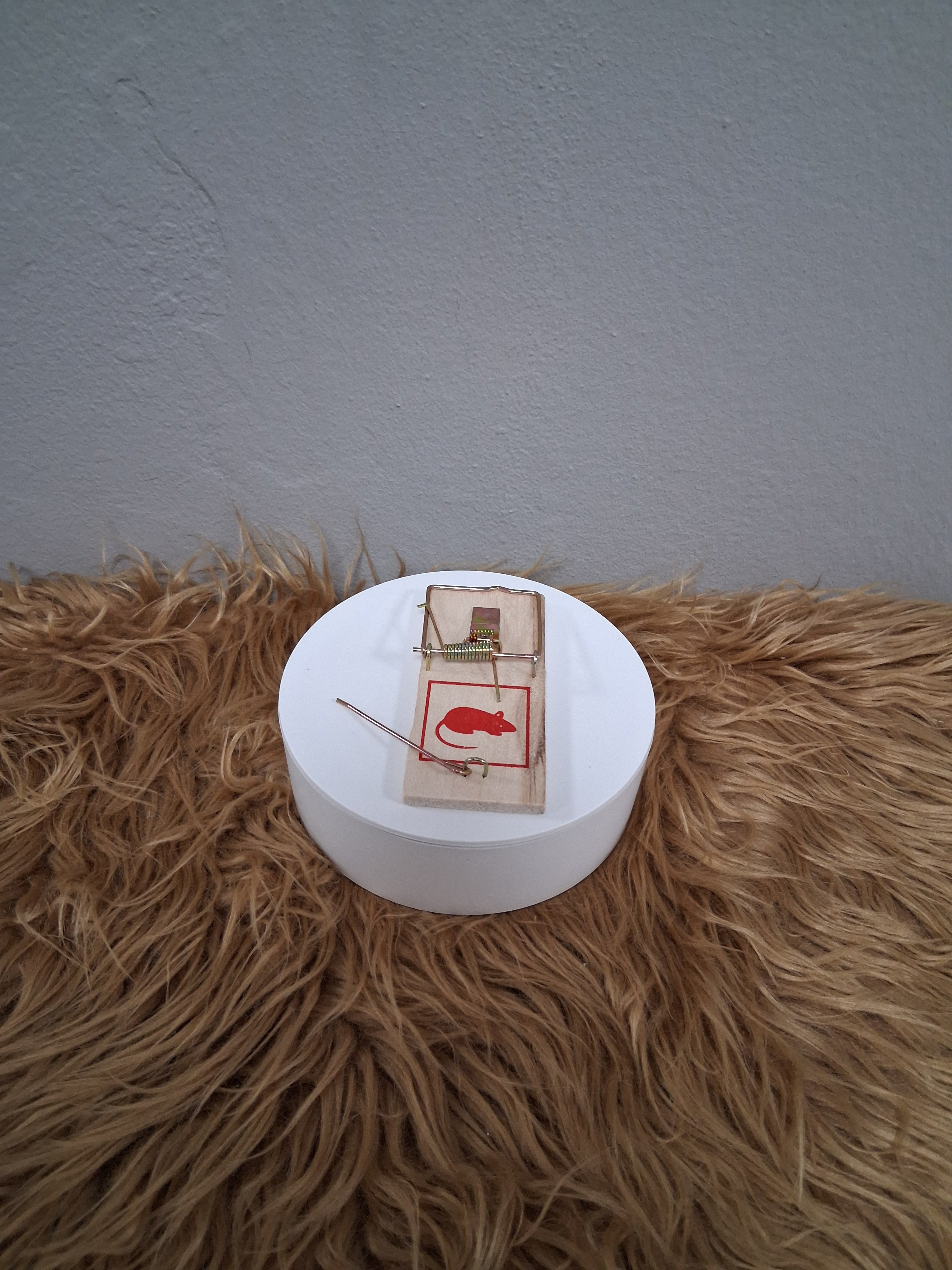 Trampa de ratón madera